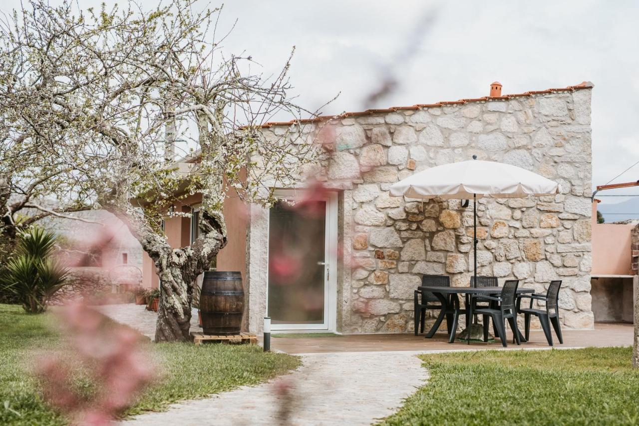 Forno House - Ameixoeira Vila Praia de Âncora Esterno foto